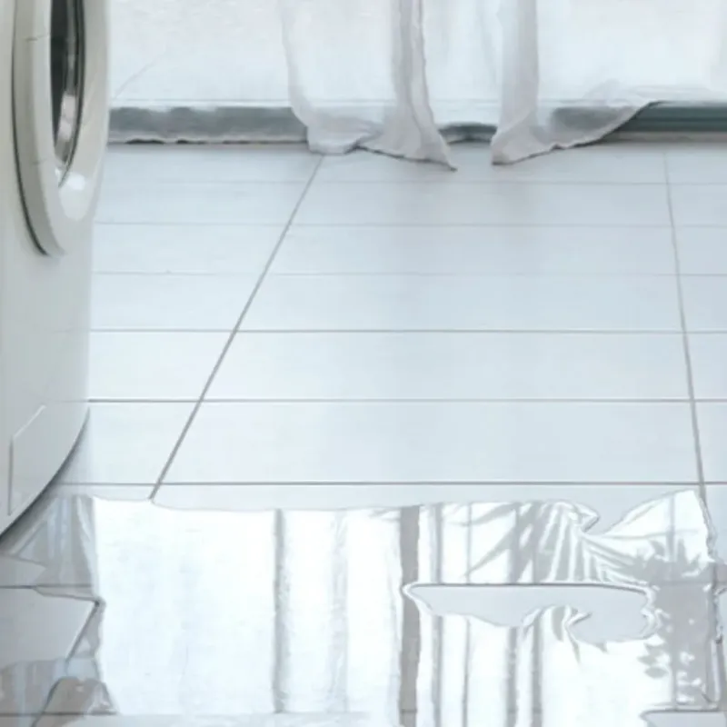 Appliance Leak Cleanup in Norwalk, IA