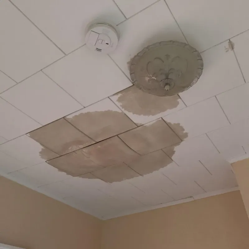 Ceiling Water Damage Repair in Norwalk, IA