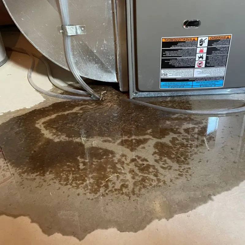 Pipe Burst and Leak Restoration in Norwalk, IA