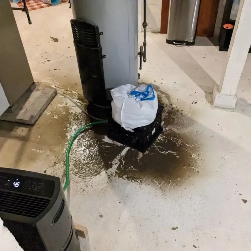 Sewage Backup Cleanup Service in Norwalk, IA